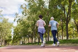 可持续发展展示